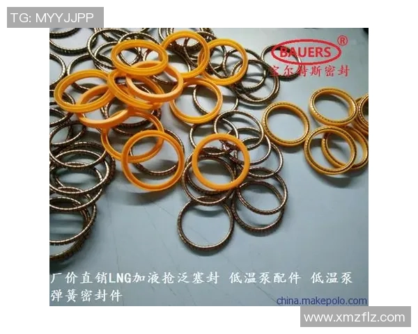 专业分析:LNG如何通过快速策略在市场中占据优势